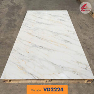 VD2224