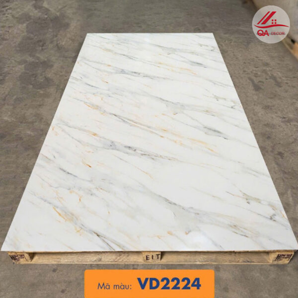 VD2224