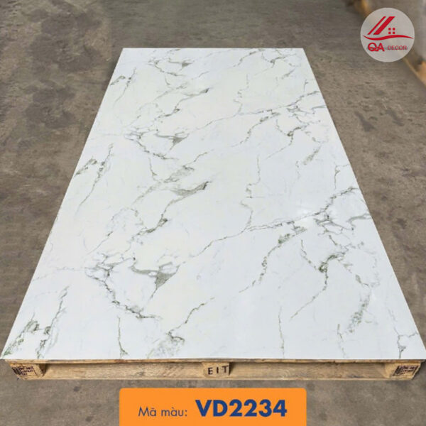 VD2234