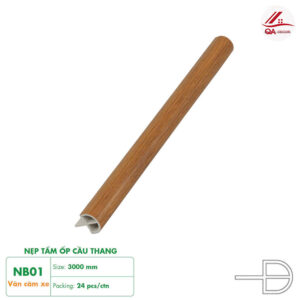 NB01