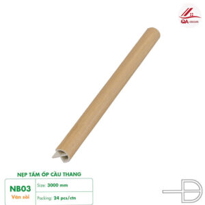 NB03