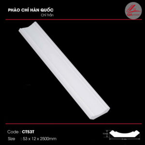 chi-tran-ct53t