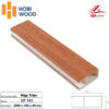 lam-treo-tran-hobiwood-ht101