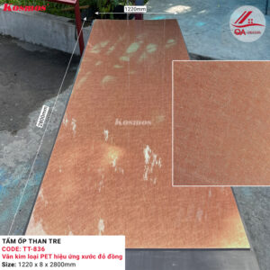 tam-op-than-tre-tt-836