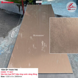 tam-op-than-tre-tt-837