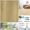 san go hobi CA 998 quang anh